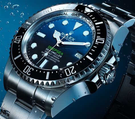 rolex submariner polipetto seadweller|rolex diving watches.